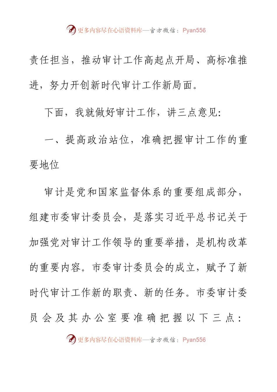 X市审计委员会第一次会议讲话.docx_第2页