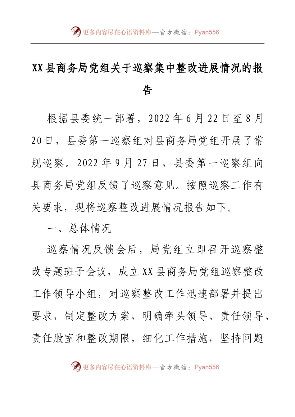 XX县商务局党组关于巡察集中整改进展情况的报告.docx_第1页
