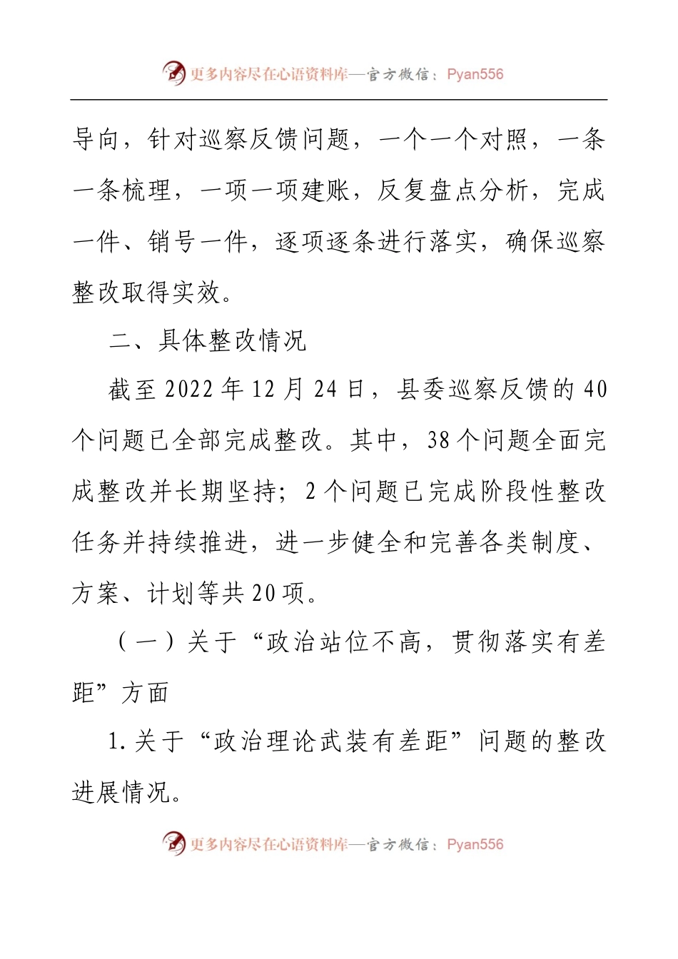 XX县商务局党组关于巡察集中整改进展情况的报告.docx_第2页