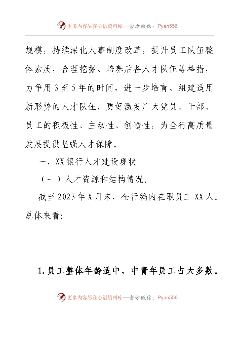 XXX银行人才队伍建设规划.docx_第2页