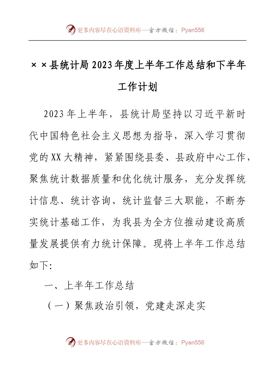 ××县统计局2023年度上半年工作总结和下半年工作计划.docx_第1页
