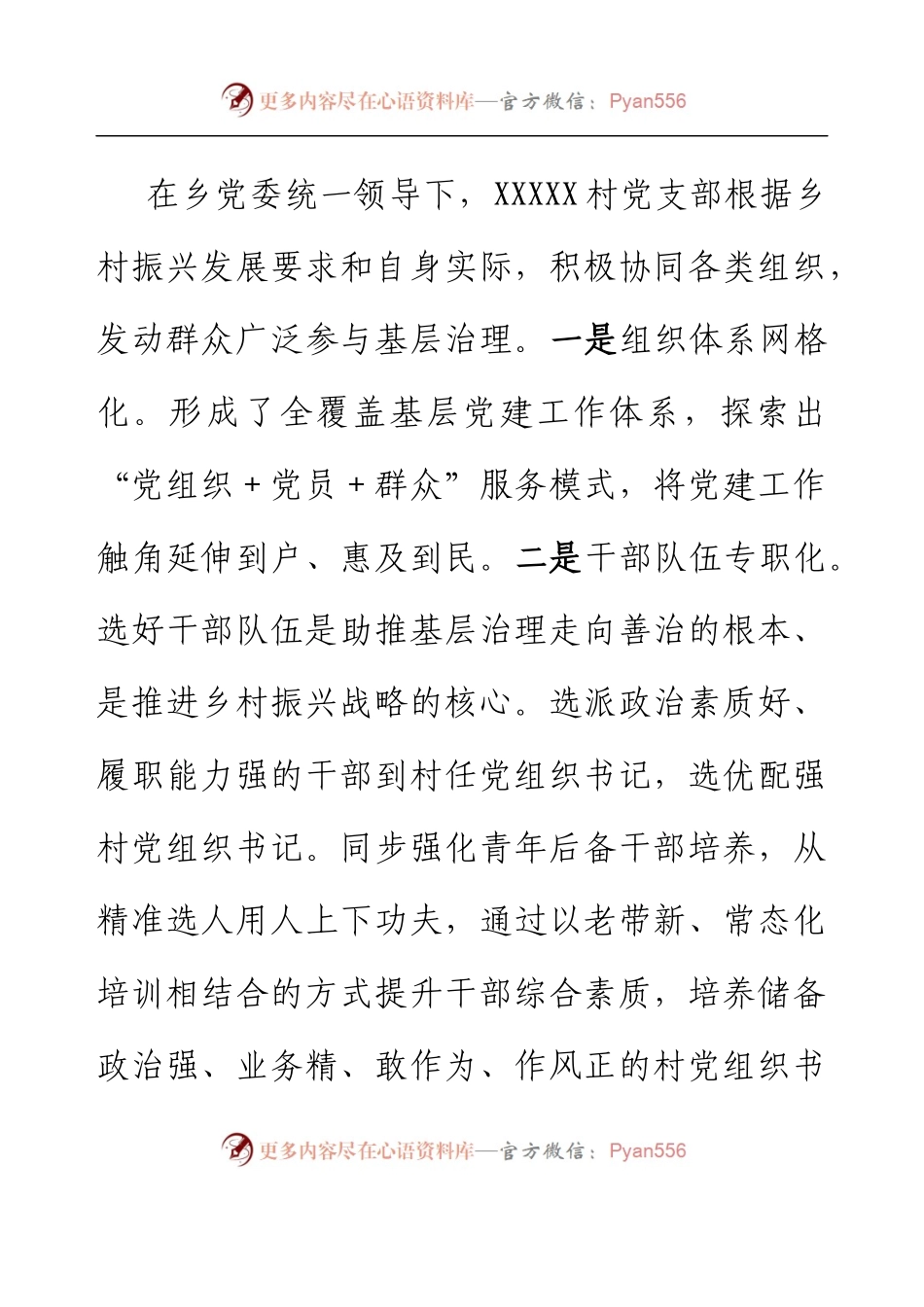 XXX村党建引领乡村振兴.docx_第2页