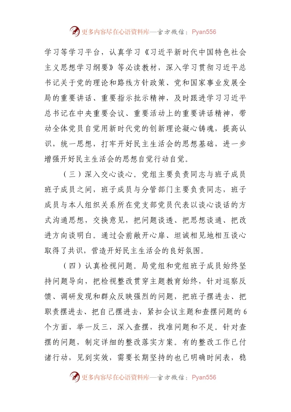 市局党组关于主题教育专题民主生活会召开情况的报告.docx_第2页