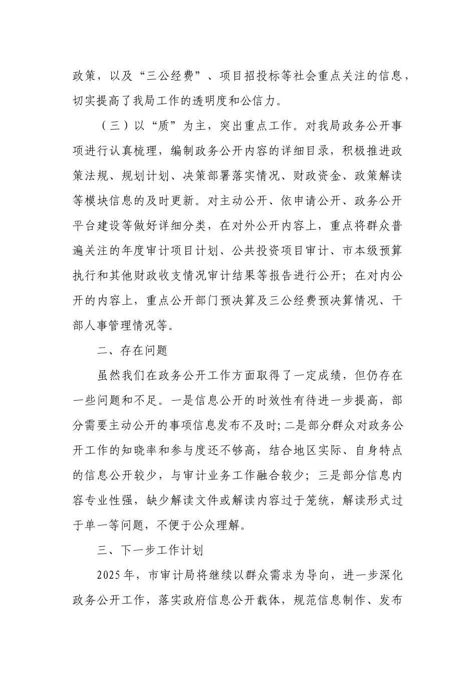 市审计局2024年度政务公开工作总结.docx_第2页