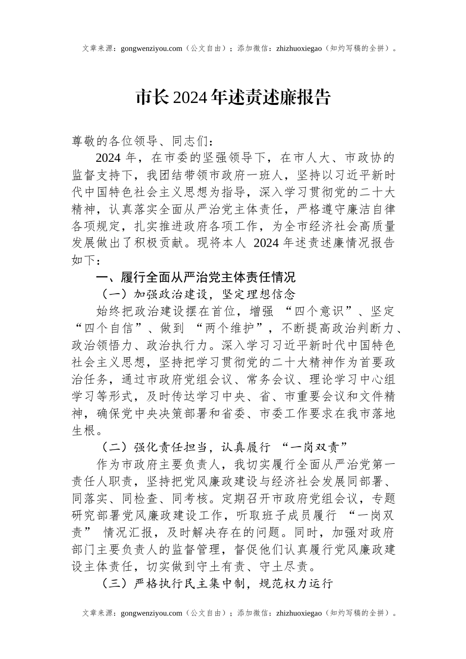 市长2024年述责述廉报告.docx_第1页