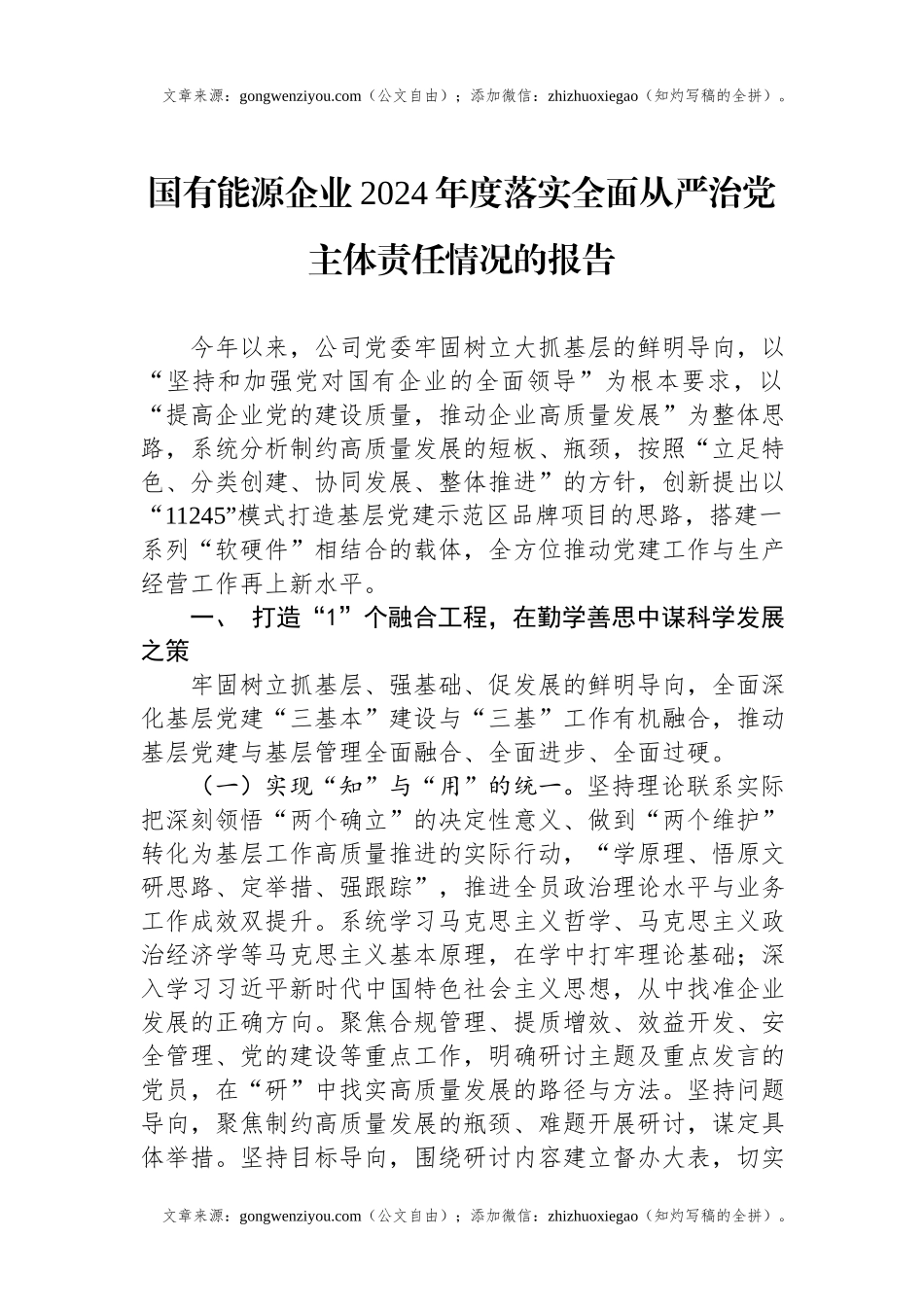 国有能源企业2024年度落实全面从严治党主体责任情况的报告.docx_第1页