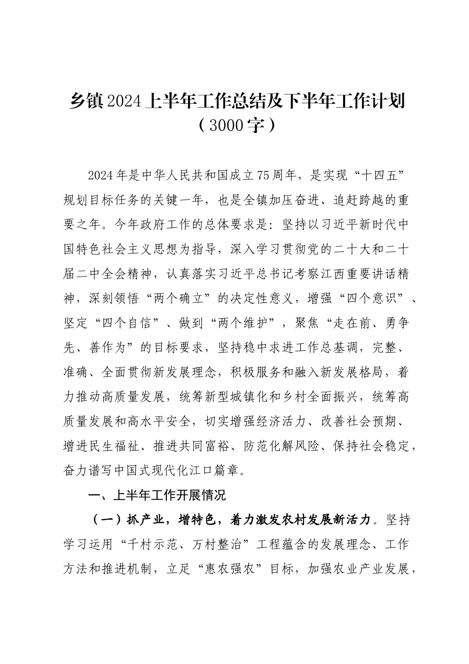 年度专项工作总结∣半年总结：乡镇2024上半年工作总结及下半年工作计划（3000字）.docx_第1页