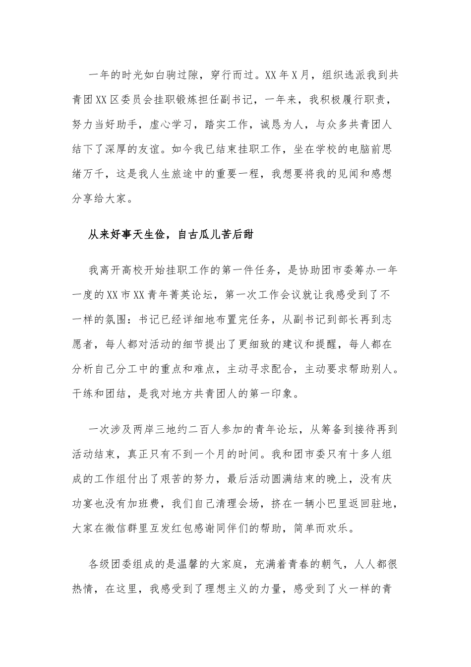 挂职干部年度工作总结.docx_第1页