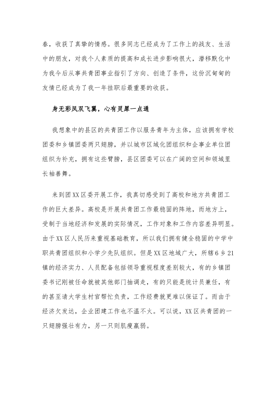 挂职干部年度工作总结.docx_第2页