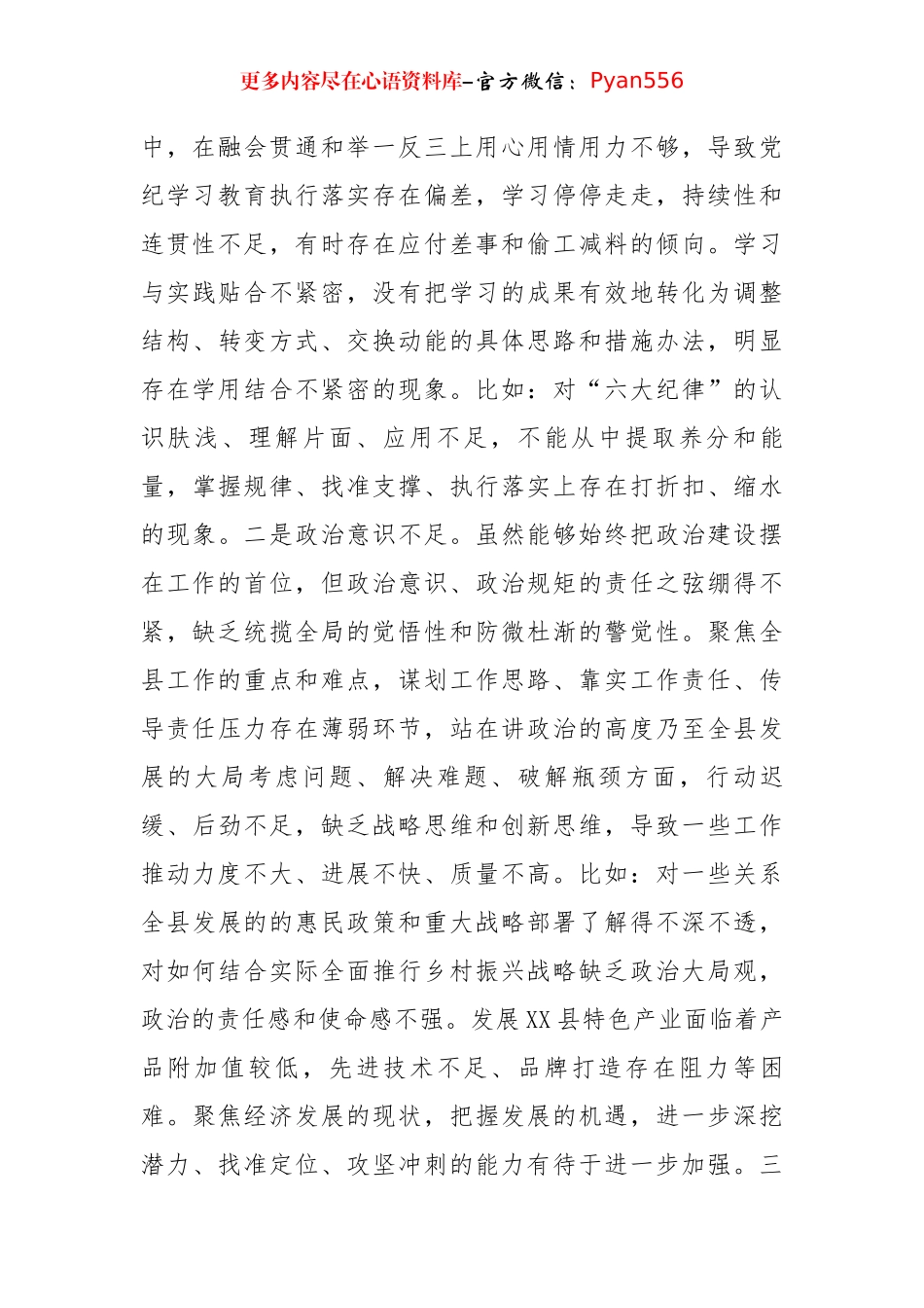 2024年度民主生活会“四个带头”个人对照检查材料（5320字）.docx_第2页