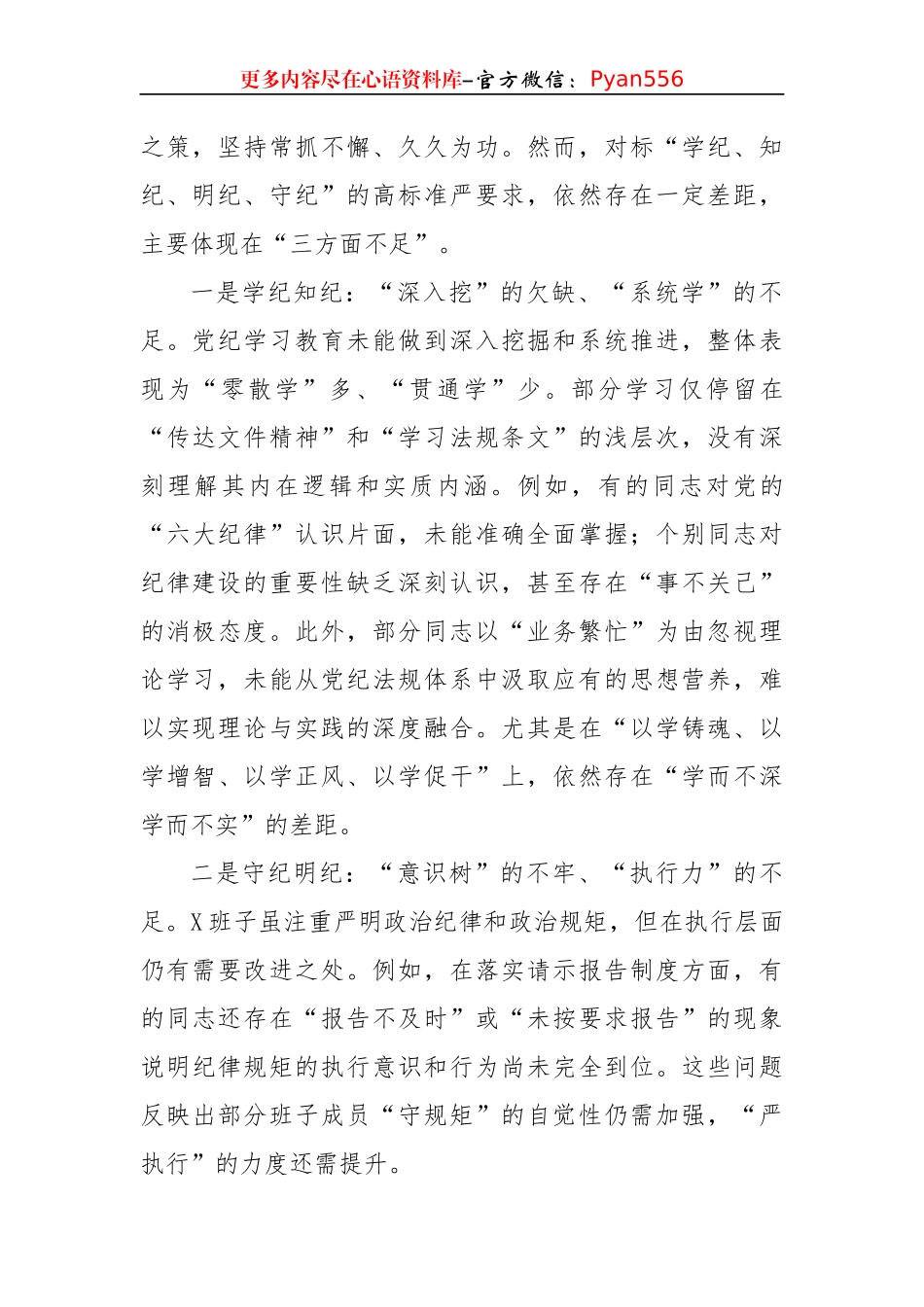 2024年度民主生活会班子对照检查材料（6816字）四个带头+意识形态+上年度整改落实.docx_第2页