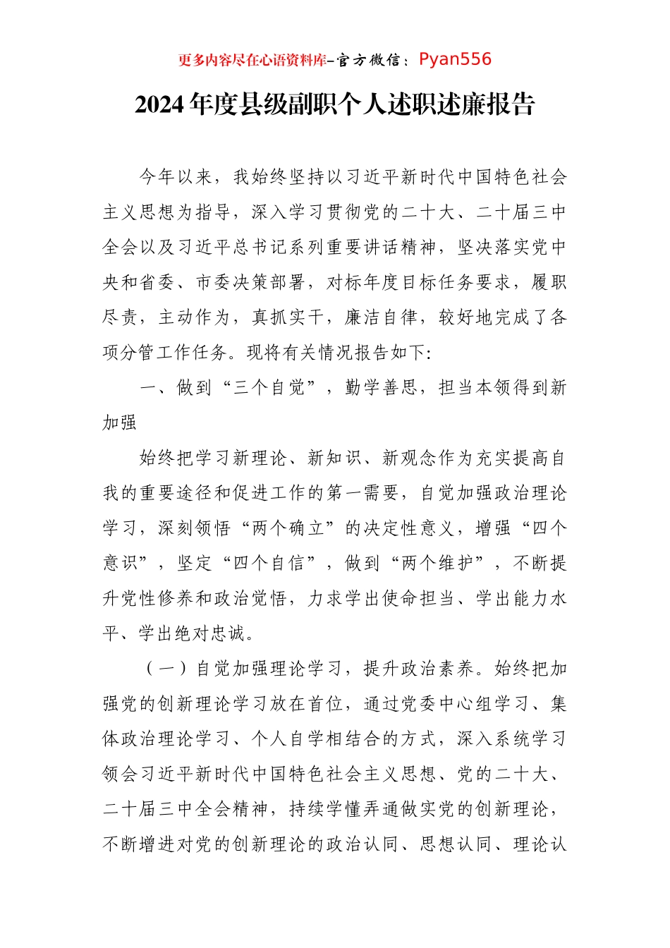 2024年度县级副职个人述职述廉报告.docx_第1页