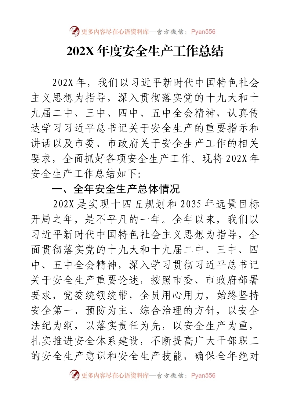 202X年度安全生产工作总结.docx_第1页
