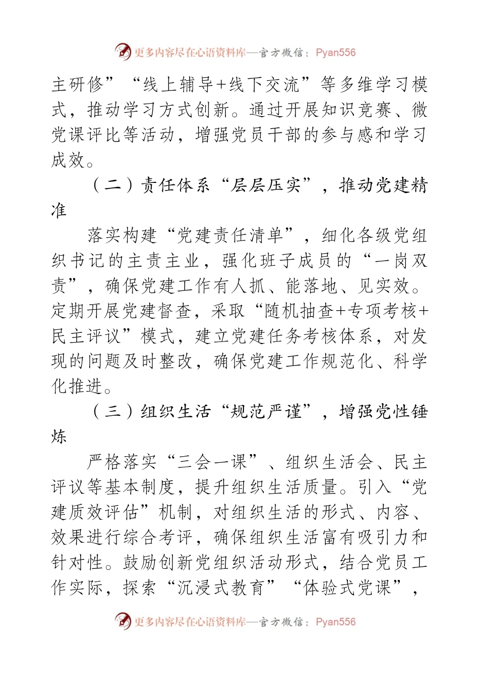 2025年度党建工作要点计划.docx_第2页