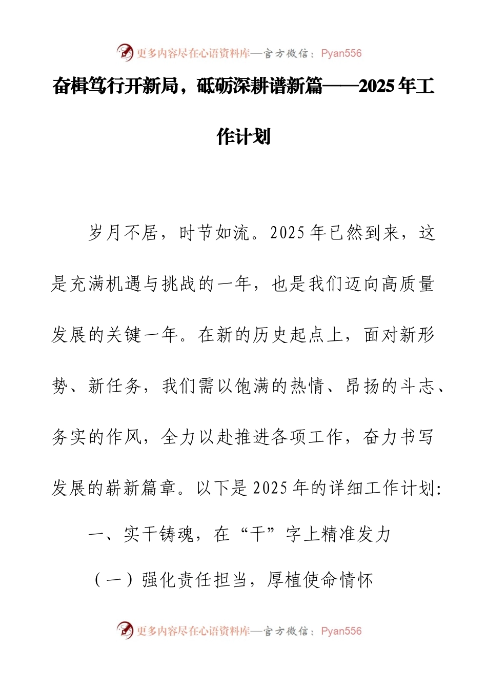 奋楫笃行开新局，砥砺深耕谱新篇——2025 年工作计划.docx_第1页