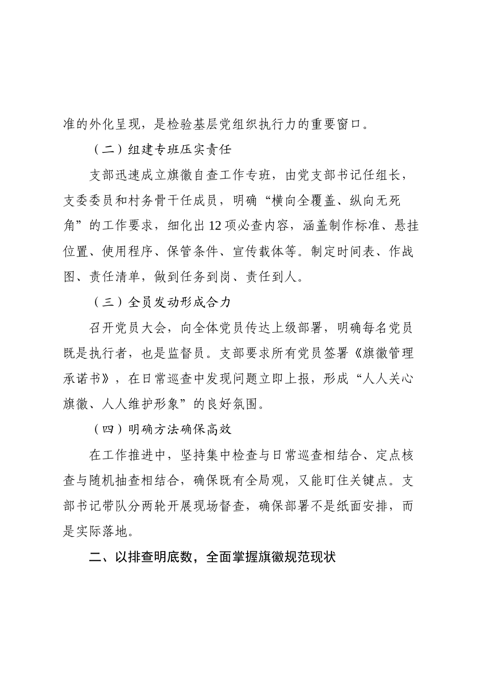 X村党支部党旗党徽使用全景自查报告.docx_第2页