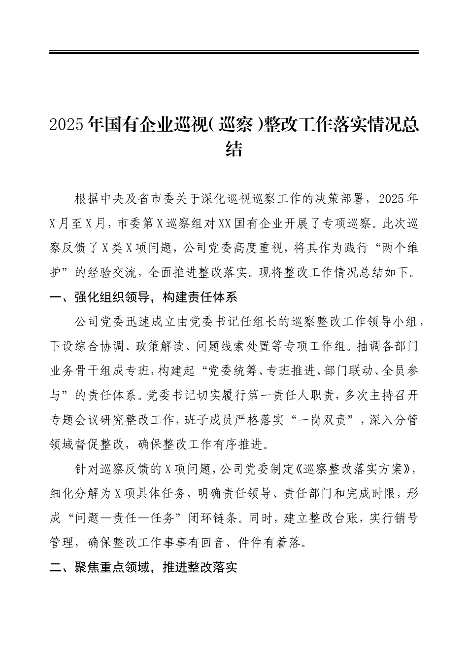 20025年度巡视（巡察）整改工作动员、总结等材料汇编.doc_第2页