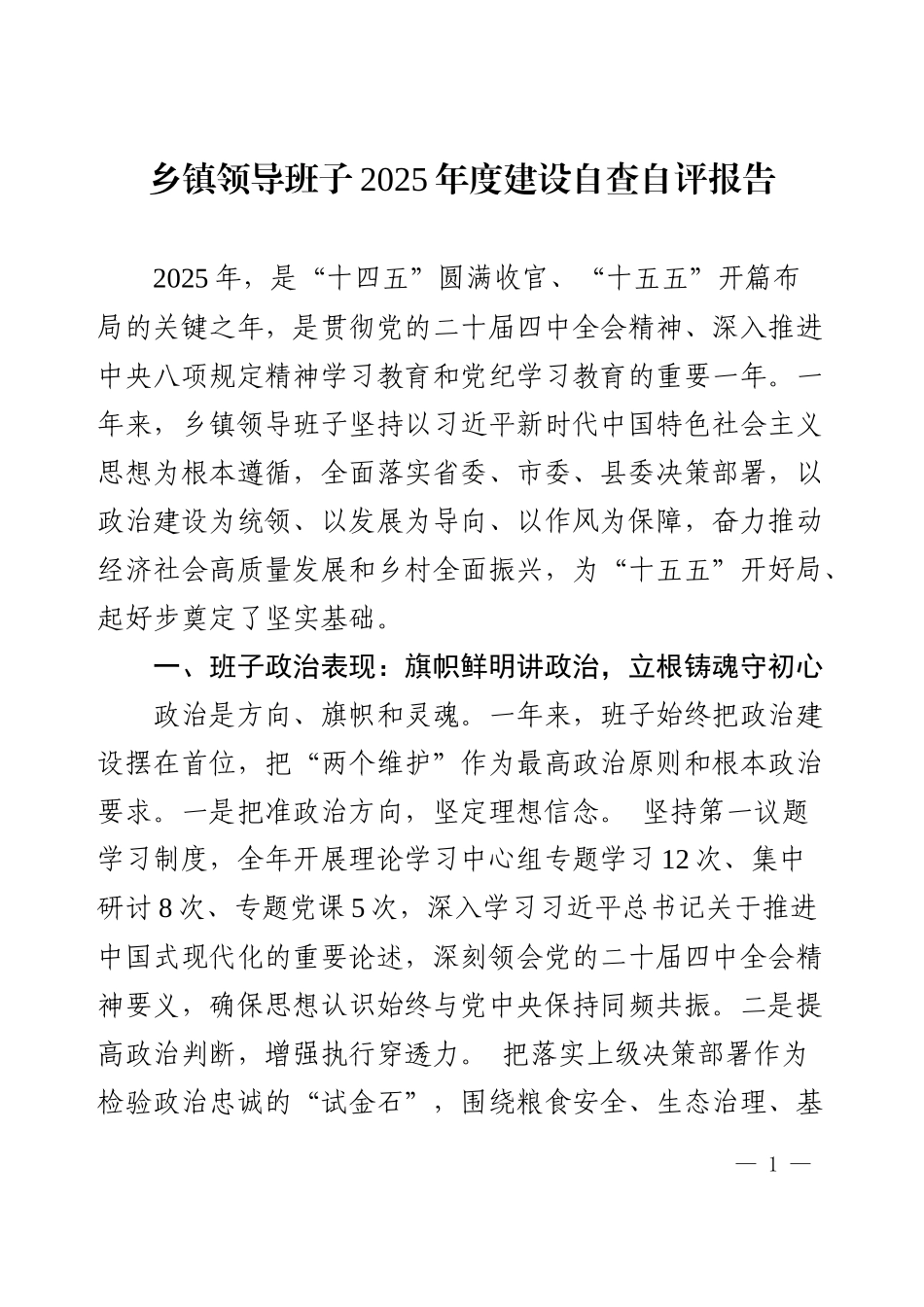 2025年乡镇领导班子2025年度建设自查自评报告.docx_第1页